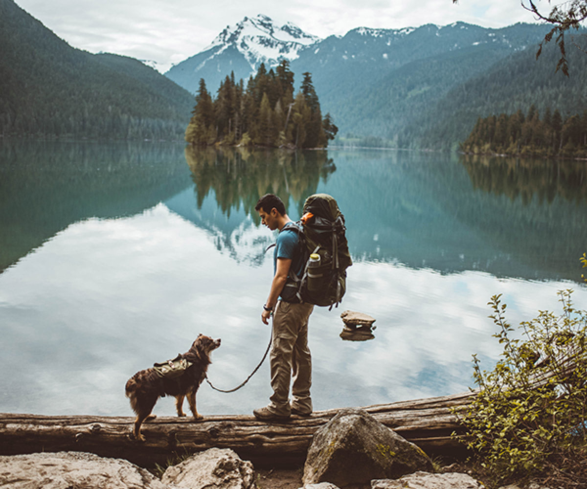 The Ultimate Dog Guide for Hiking & Camping with Dogs – Wolf Republic